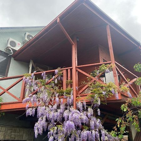 Bed and Breakfast Fkoka Berehove  Esterno foto