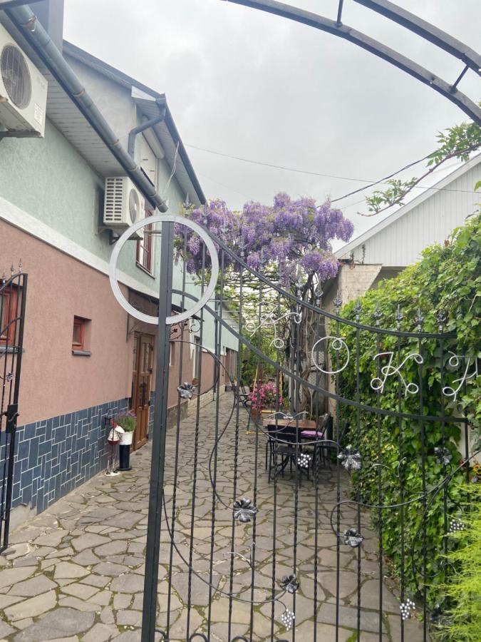 Bed and Breakfast Fkoka Berehove  Esterno foto