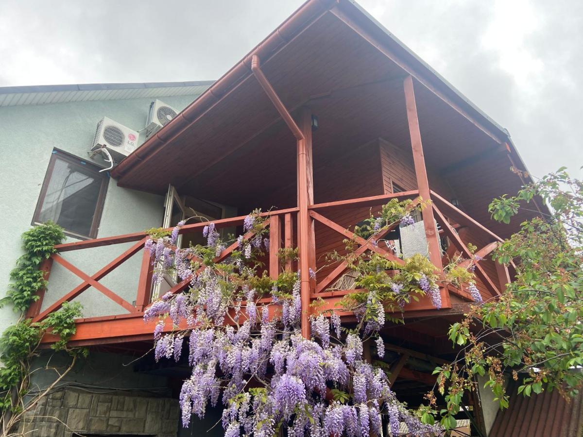 Bed and Breakfast Fkoka Berehove  Esterno foto