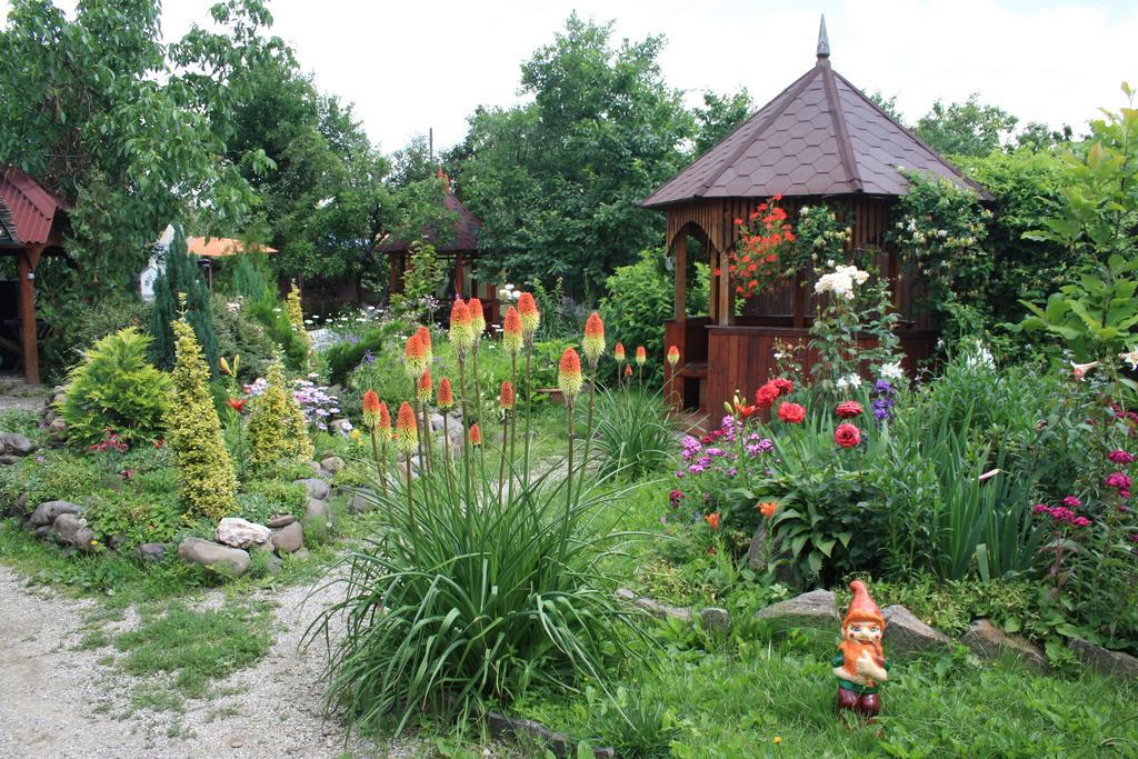 Bed and Breakfast Fkoka Berehove  Esterno foto