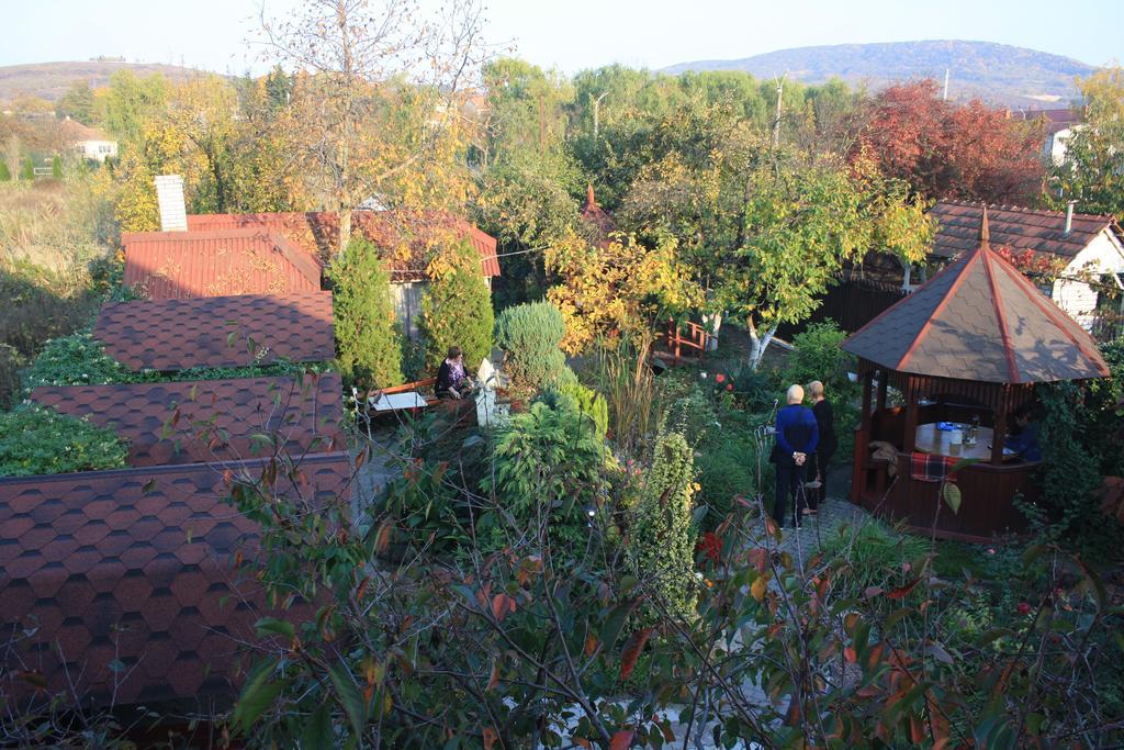Bed and Breakfast Fkoka Berehove  Esterno foto